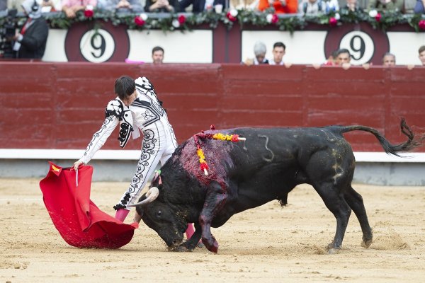 Asociación EL TORO de Madrid6