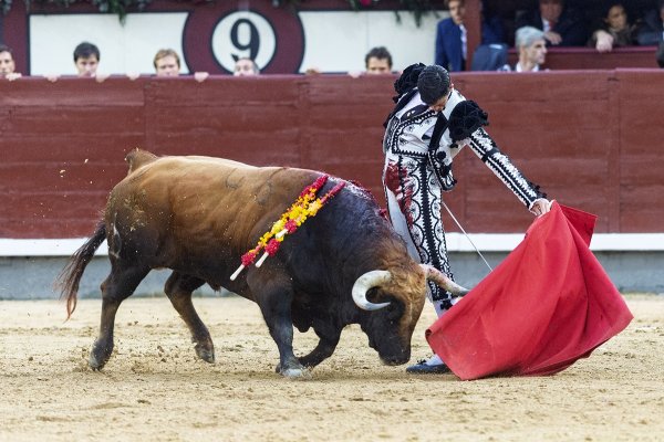 Asociación EL TORO de Madrid7