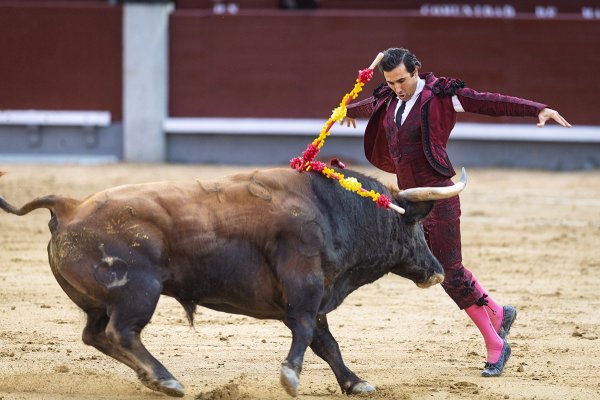 Asociación EL TORO de Madrid8