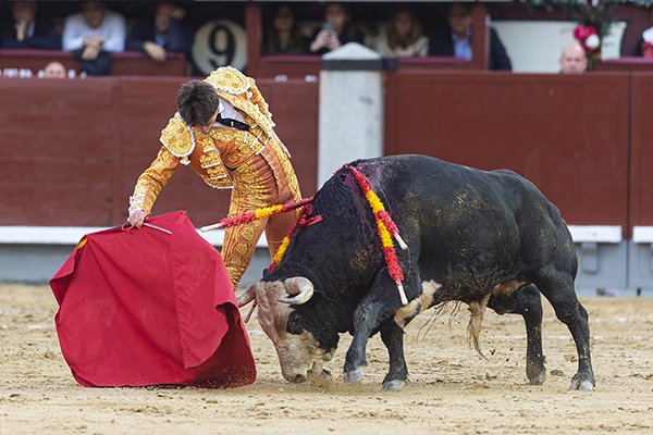 Asociación EL TORO de Madrid8