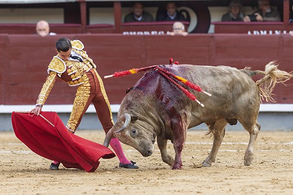 Asociación EL TORO de Madrid9