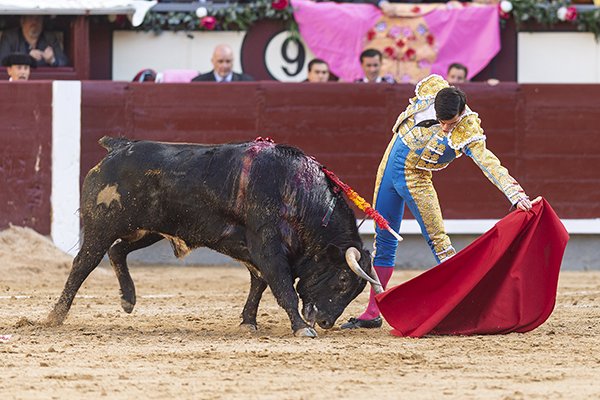 Asociación EL TORO de Madrid10