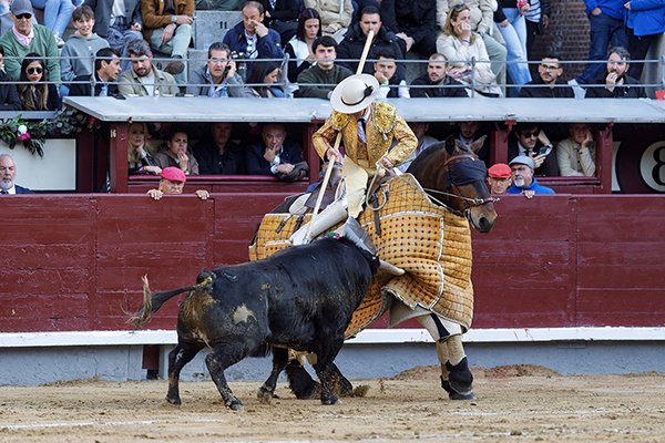 Asociación EL TORO de Madrid11