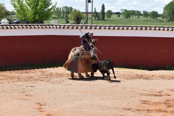 Asociación EL TORO de Madrid58
