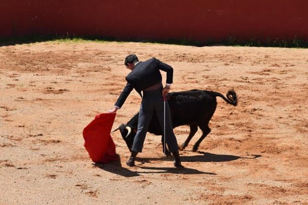 Asociación EL TORO de Madrid60