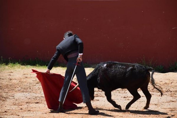 Asociación EL TORO de Madrid62