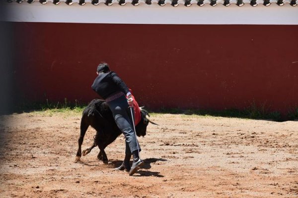 Asociación EL TORO de Madrid63