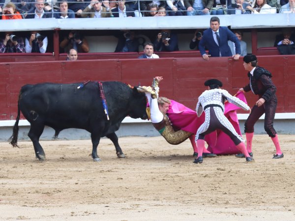 Asociación EL TORO de Madrid12