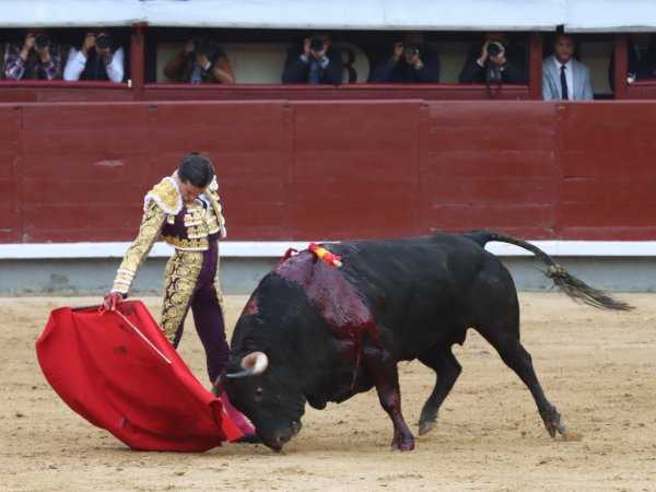 Asociación EL TORO de Madrid14
