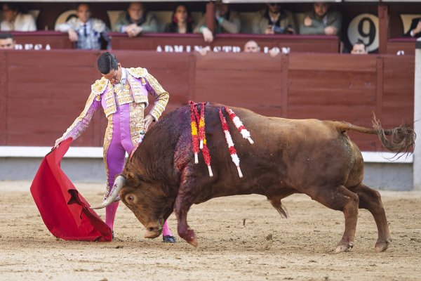 Asociación EL TORO de Madrid8