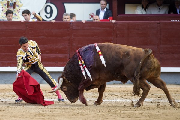 Asociación EL TORO de Madrid9