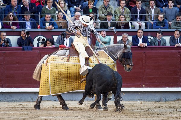 Asociación EL TORO de Madrid5
