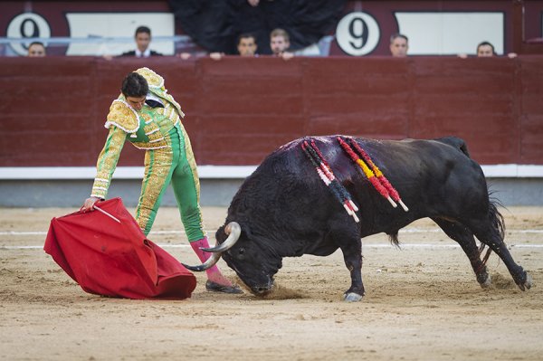 Asociación EL TORO de Madrid6
