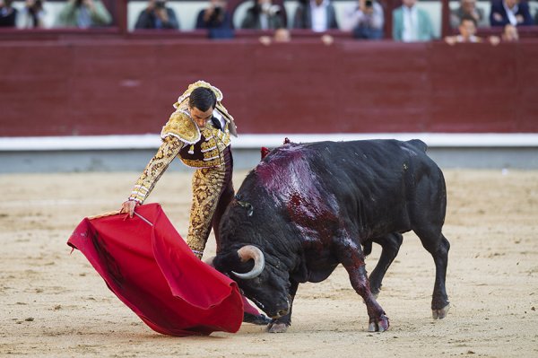Asociación EL TORO de Madrid7