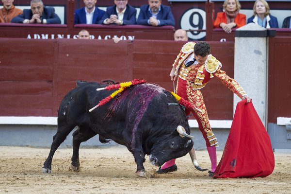 Asociación EL TORO de Madrid8