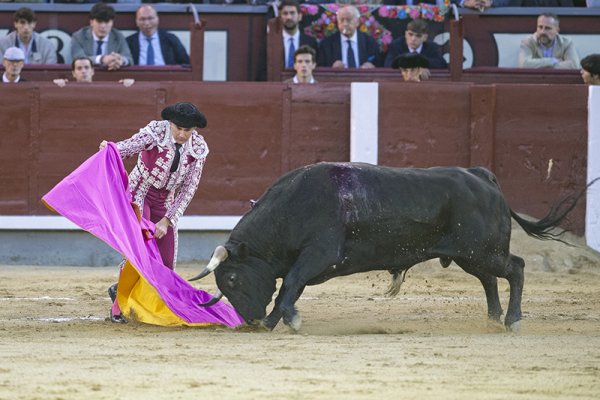 Asociación EL TORO de Madrid6