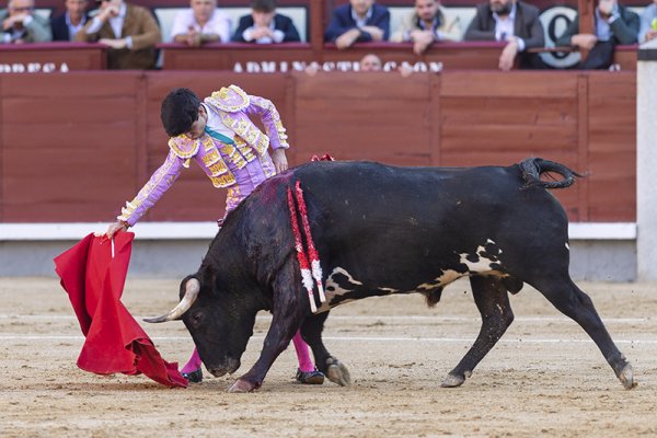 Asociación EL TORO de Madrid7
