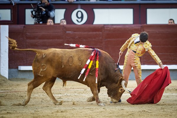 Asociación EL TORO de Madrid8