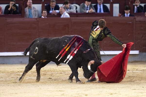 Asociación EL TORO de Madrid9