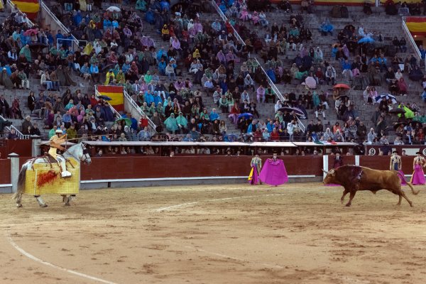 Asociación EL TORO de Madrid1