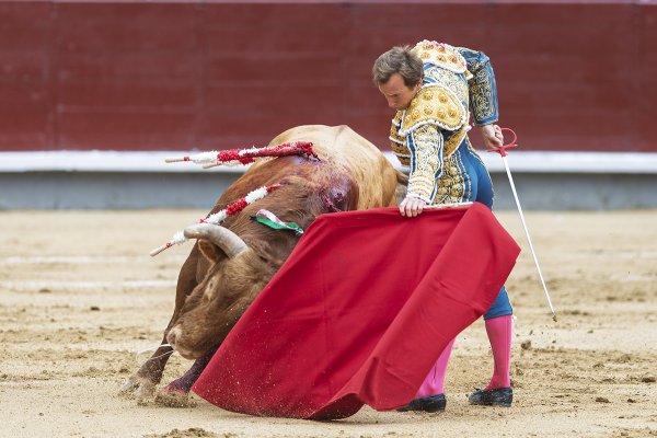 Asociación EL TORO de Madrid8