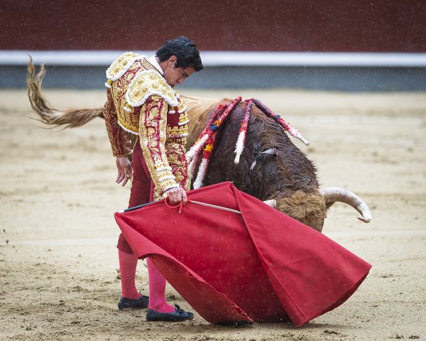 Asociación EL TORO de Madrid9