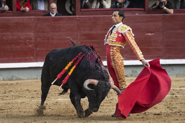 Asociación EL TORO de Madrid7
