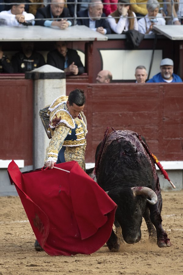 Asociación EL TORO de Madrid8