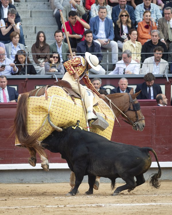 Asociación EL TORO de Madrid6