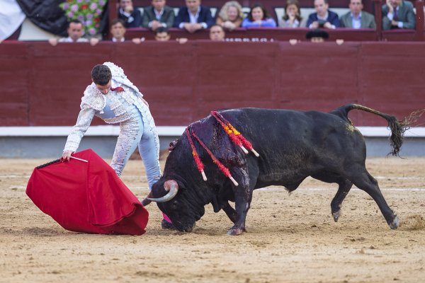Asociación EL TORO de Madrid9