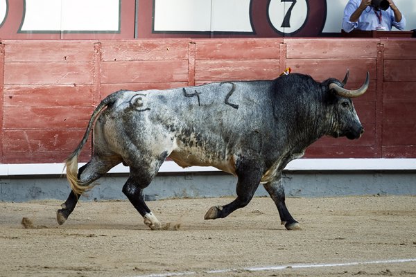 Asociación EL TORO de Madrid2