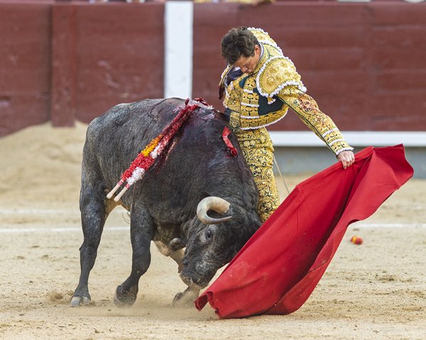 Asociación EL TORO de Madrid8