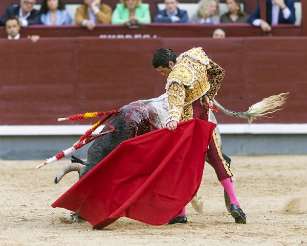 Asociación EL TORO de Madrid9