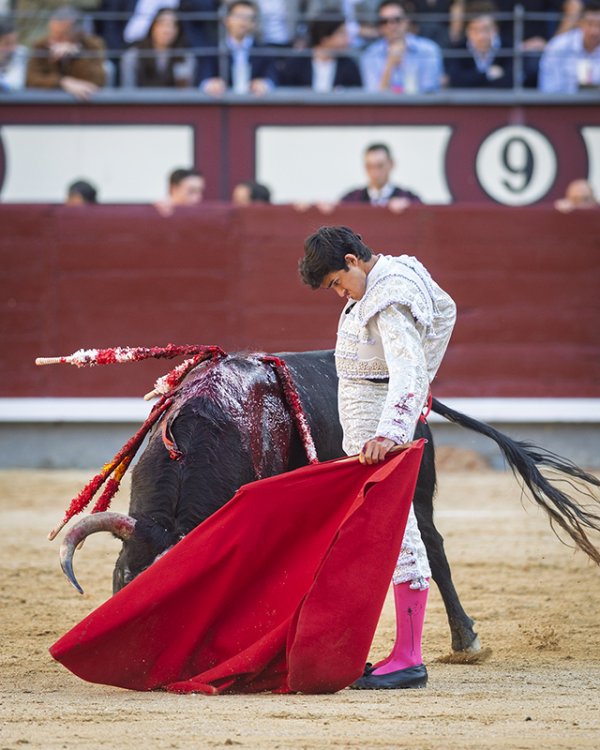 Asociación EL TORO de Madrid6