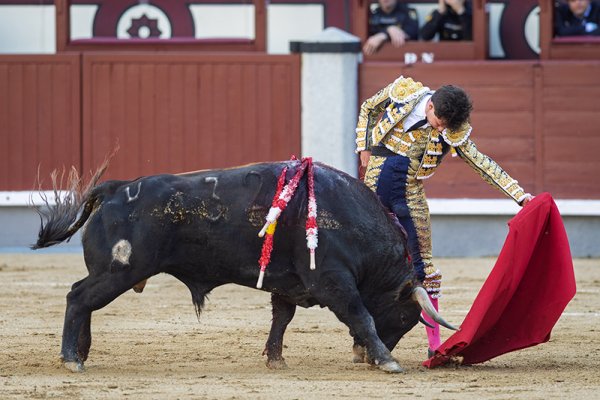 Asociación EL TORO de Madrid7