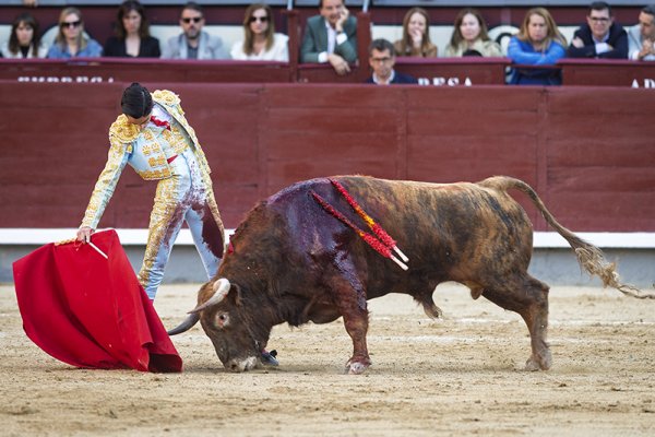 Asociación EL TORO de Madrid8
