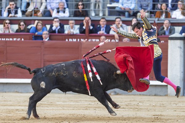 Asociación EL TORO de Madrid9