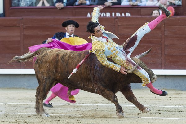 Asociación EL TORO de Madrid10