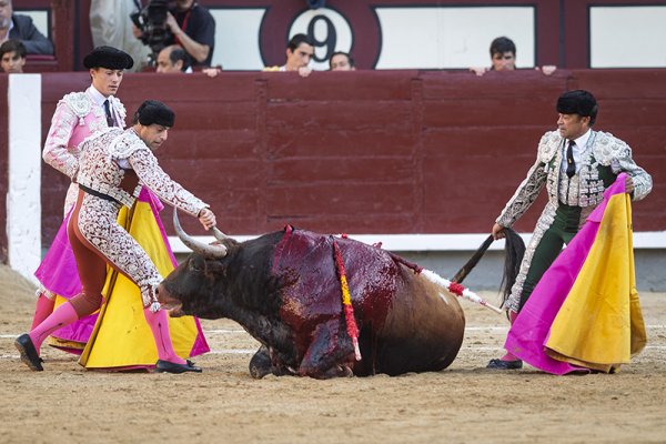Asociación EL TORO de Madrid11