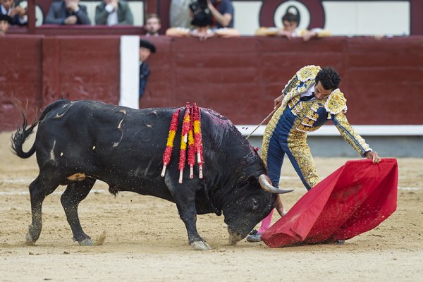 Asociación EL TORO de Madrid7