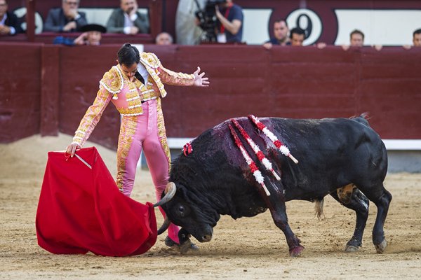 Asociación EL TORO de Madrid8