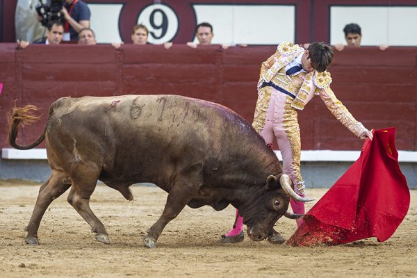 Asociación EL TORO de Madrid9