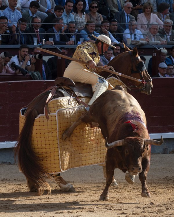Asociación EL TORO de Madrid10
