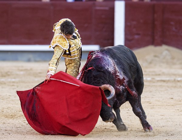 Asociación EL TORO de Madrid8