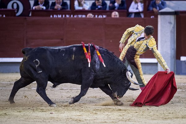 Asociación EL TORO de Madrid9