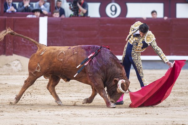 Asociación EL TORO de Madrid10