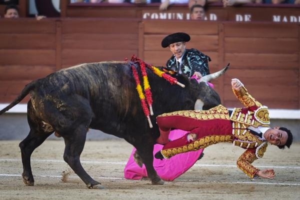 Asociación EL TORO de Madrid6