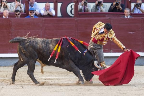 Asociación EL TORO de Madrid7