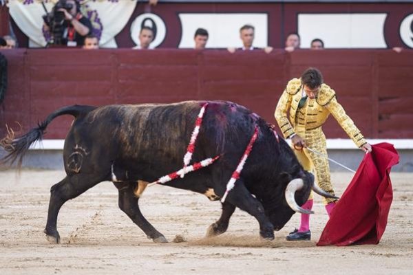 Asociación EL TORO de Madrid8
