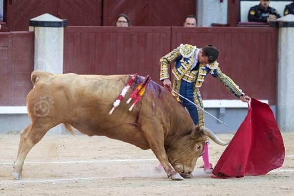 Asociación EL TORO de Madrid9